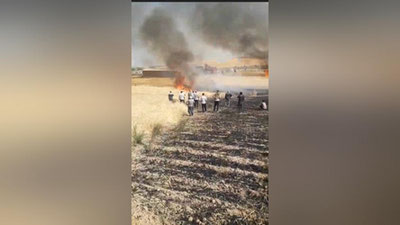 'Qashqadaryoda g`alla ekilgan 1 gektar maydon yonib ketdi (video)'ning rasmi