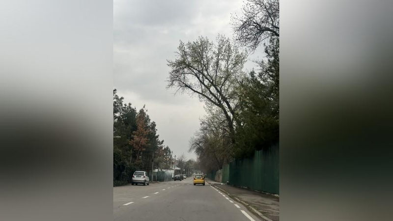 'Havo o`zgarib turadi, vaqti-vaqti bilan yomg`ir yog`adi'ning rasmi