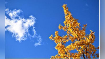 '26 OKTYaBRGA  OB-HAVO  MA`LUMOTI'ning rasmi