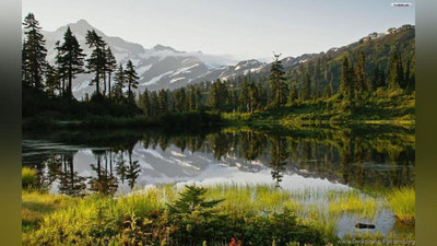 'Falsafa...'ning rasmi