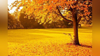 'O`zbekiston hududi bir turdagi quruq va iliq havo ta`sirida bo`ladi.'ning rasmi