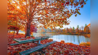 'O`zbekistonda bugun qanday ob-havo kutilmoqda?'ning rasmi