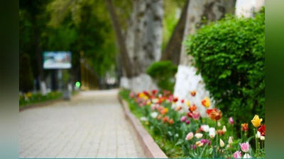 'Bugun O`zbekistonda 30 daraja issiq bo`ladi'ning rasmi