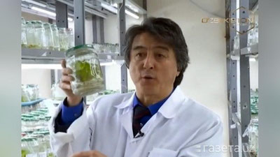 'Qishloq xo`jaligi vaziri o`rinbosarining o`g`liga tegishli kompaniya 9,9 mlrd so`mlik tenderda g`olib bo`lgani bo`yicha vazirlik komissiya tuzdi'ning rasmi