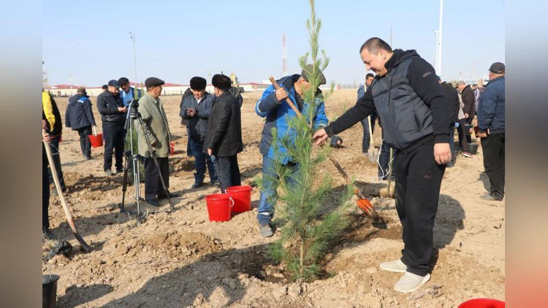'Қаршида "Журналист ва блогерлар боғи" барпо этилмоқда'ning rasmi