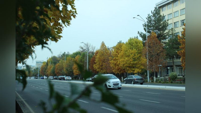 'Тошкентнинг айрим кўчалари 10 кунга ёпилади 'ning rasmi