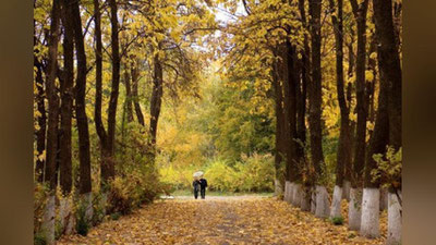 'Эртага Ўзбекистон бўйлаб қандай об-ҳаво кузатилади?'ning rasmi