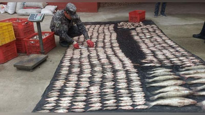 'Айдар-Арнасой кўллар тизимида тақиқланган балиқларни овлаган фуқаро аниқланди'ning rasmi