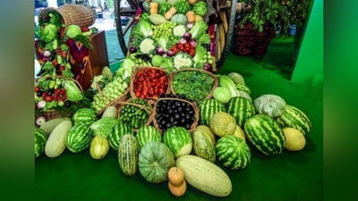 '2021 йилда қайси ҳудудда энг кўп полиз экинлари етиштирилган?'ning rasmi