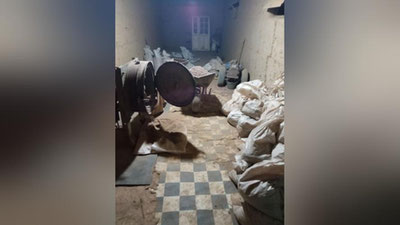 'Самарқандда олтинни ноқонуний қазиб олиш билан шуғулланувчи шахслар ушланди'ning rasmi