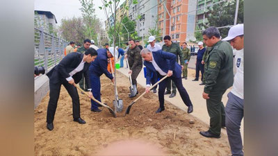 '"Яшил макон": Сергели туманини ободонлаштириш ва кўкаламзорлаштириш ишлари бошланди   'ning rasmi