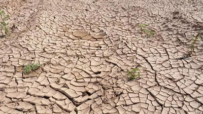 'May oyida Qozog`istonning ko`plab viloyatlarida qurg`oqchilik kutilmoqda'ning rasmi