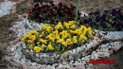 'Бугун Ўзбекистонда ҳарорат 32 даражагача кўтарилади'ning rasmi