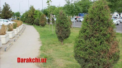 'Бугун айрим жойларда қисқа муддатли ёмғир ёғиши кутилмоқда'ning rasmi