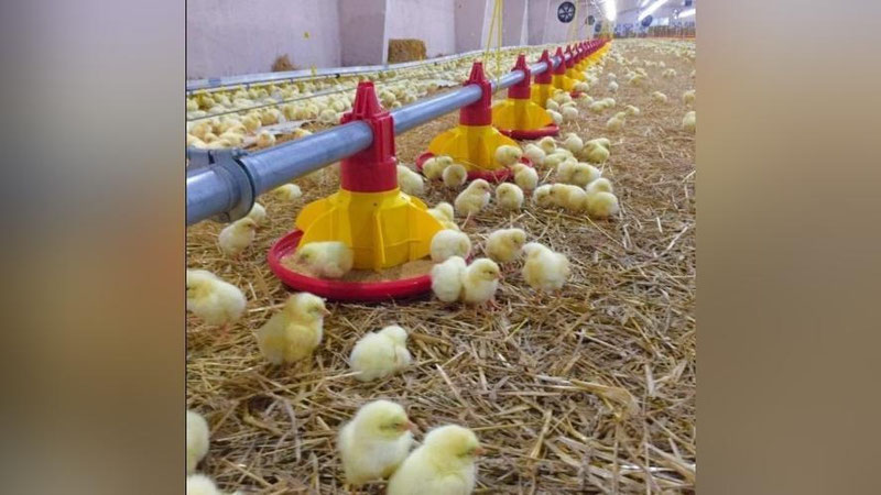 'Самарқанддаги фермер хўжалиги Афғонистонда савдо маркази очди'ning rasmi