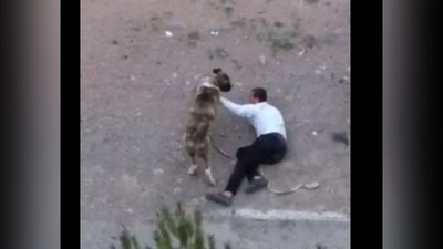 'Farg`onada fuqarolar o`rtasida katta janjal ko`tarildi. Itga talanganlar va toshbo`ron qilinganlar bor...'ning rasmi