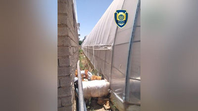 'Қамашида магистрал ичимлик суви қувурига ўзбошимчалик билан уланиш ҳолати фош этилди'ning rasmi