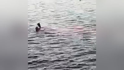 'Misrning Xurgada kurortida akula sayyohga hujum qildi. Oqibatda... (video)'ning rasmi
