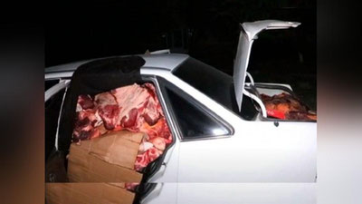 'Қашқадарёдан Тошкентга олиб келинаётган қарийб 1 тонна яроқсиз гўшт постда ушлаб қолинди'ning rasmi