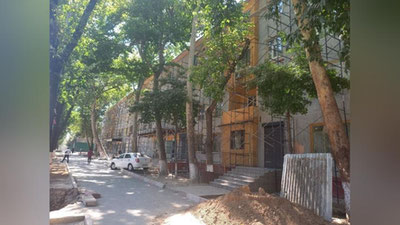 'Chilonzorda ildizi shikastlangan 99 tup daraxtga obodonlashtirish ishlari sabab qilib ko`rsatildi Ushbu holatga prokuratura munosabat bildirdi'ning rasmi