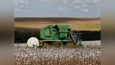 'Jazirama sabab jahon bozorida paxta narxi keskin ko`tarildi'ning rasmi