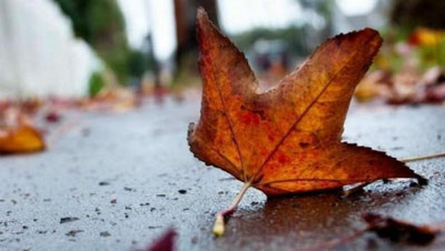 'Bugun respublikaning deyarli barcha hududlarida yog`ingarchilik kuzatiladi'ning rasmi