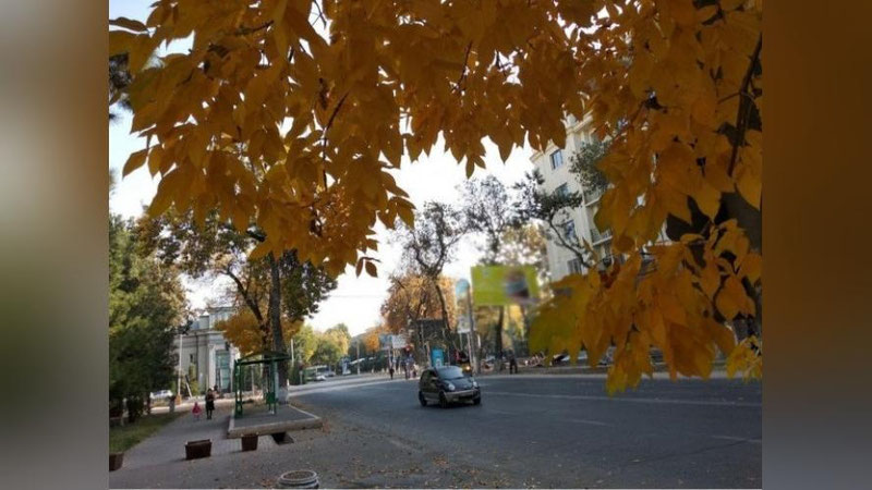 'Noyabrning oxirida bizni qanday ob-havo kutmoqda?'ning rasmi