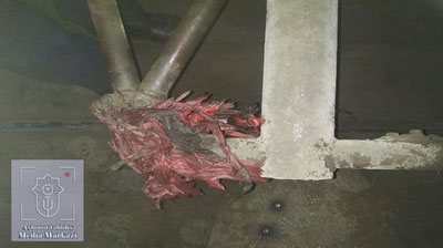 '"Afrosiyob" elektropoezdi yo`lda to`xtab qolganining sababi ma`lum bo`ldi'ning rasmi