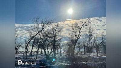 'Bugun harorat -4 daraja sovuq bo`ladi'ning rasmi