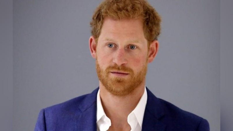 'Shahzoda Garri AQSh vizasisiz qolishi mumkin'ning rasmi