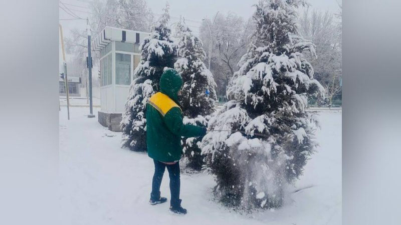 'Aziz Abduhakimov mas`ullarni daraxtlarni asrab-avaylashga chaqirdi'ning rasmi