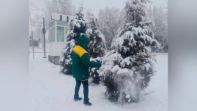 'Aziz Abduhakimov mas`ullarni daraxtlarni asrab-avaylashga chaqirdi'ning rasmi