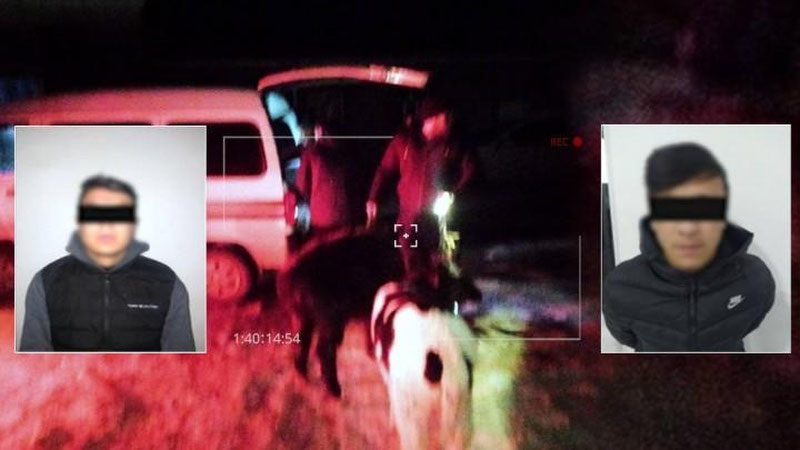 'Toshkent viloyatida aholining mol va qo`ylarini o`g`irlayotgan guruh qo`lga olindi'ning rasmi