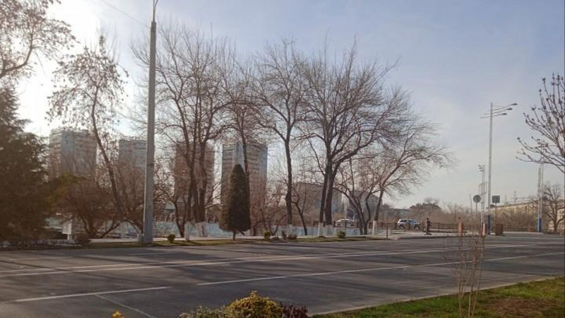 'Bugun harorat 18 daraja iliq bo`ladi'ning rasmi