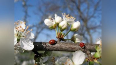 'Bugun havo harorati 27 darajagacha ko`tarilishi kutilmoqda'ning rasmi