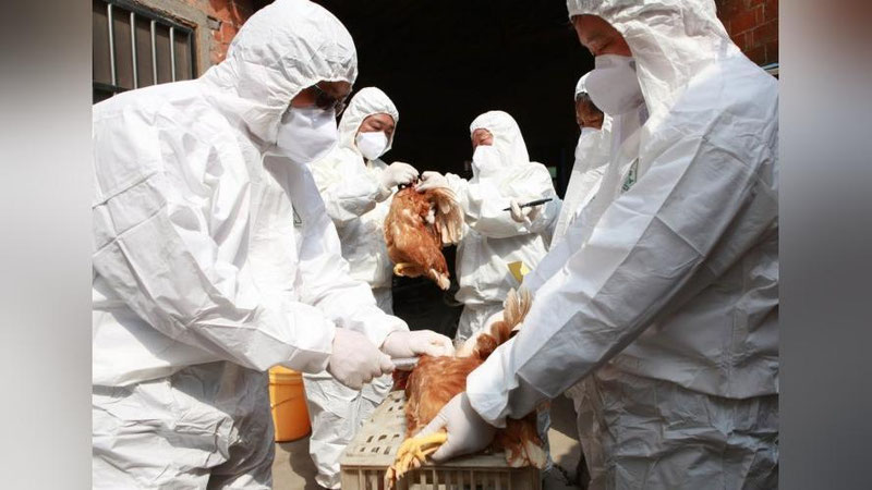 '​JSST insoniyatni yangi pandemiya xavfidan ogohlantirdi'ning rasmi