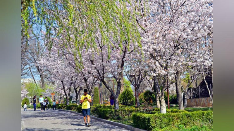 'Bugun O`zbekiston bo`ylab yog`ingarchiliksiz, iliq harorat hukmron bo`ladi'ning rasmi