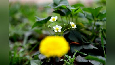 'Бугун об-ҳаво 25 даража иссиқ бўлади'ning rasmi