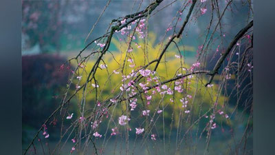 'Бугун баъзи жойларда ёмғир ёғиб, момақалдироқ бўлиши мумкин'ning rasmi