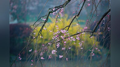 'Рамазоннинг илк куни Ўзбекистонда қандай об-ҳаво кузатилади?'ning rasmi