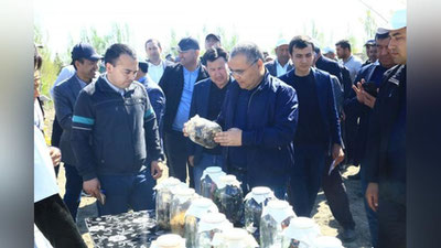 'Paxtachilik kengashi to`rtta viloyatda chigit ekish ishlari monitoringini o`tkazdi'ning rasmi