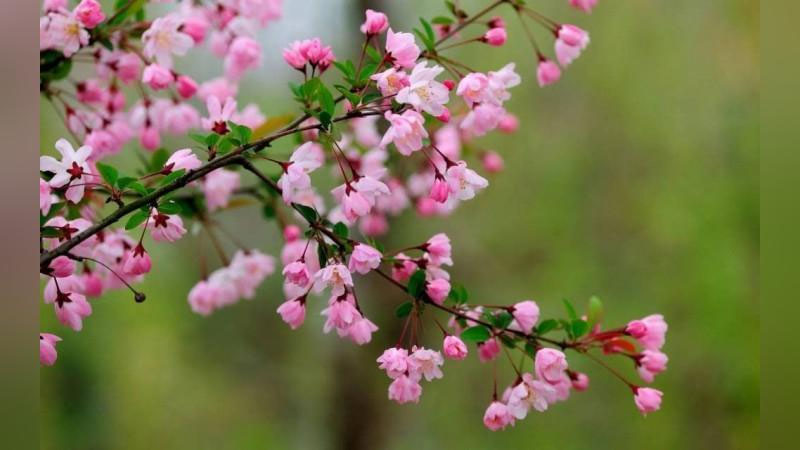 'Kelayotgan hafta qanday ob-havo bilan boshlanishi ma`lum qilindi'ning rasmi