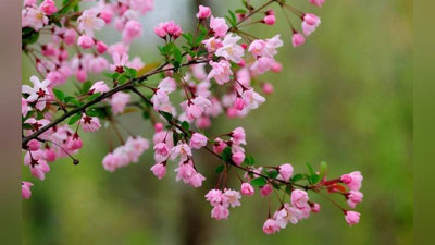 'Kelayotgan hafta qanday ob-havo bilan boshlanishi ma`lum qilindi'ning rasmi