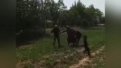 Изрображение 'По факту избиения отцом девочки в Кашкадарье возбудили уголовное дело'