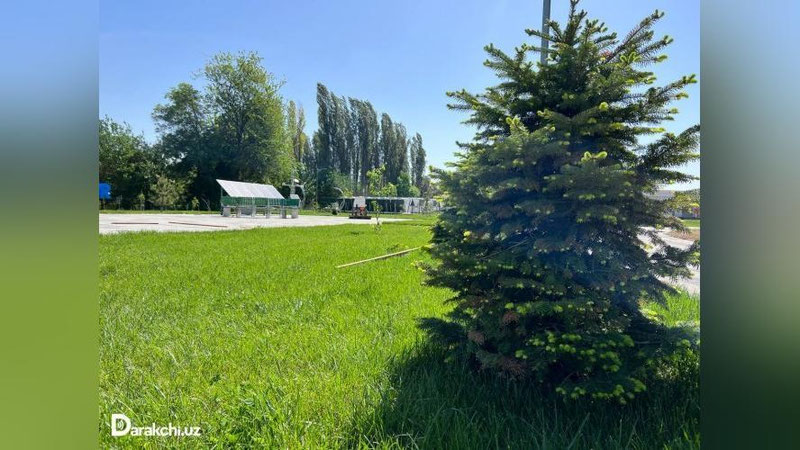 '3 may kungi ob-havo ma`lumotlari e`lon qilindi'ning rasmi