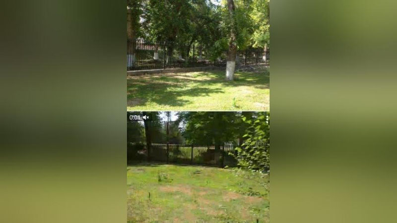 'Toshkentda  o`nlab daraxtlarni kesib tashlagan fuqaroga nisbatan ma`muriy jarima qo`llanildi (video)'ning rasmi