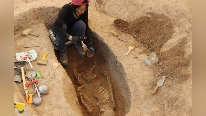 'Surxondaryoda ikki ming yillik tarixga ega qabr topildi'ning rasmi