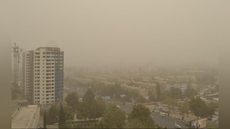 'Dushanbega qum bo`roni yopirildi'ning rasmi