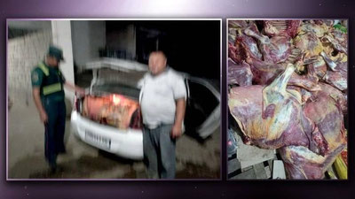 'Qashqadaryodan poytaxtga olib ketilayotgan iste`molga yaroqsiz go`sht mahsulotlari Jizzaxdan o`tolmadi'ning rasmi