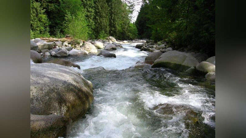 'Bugun ham havo harorati 42° gacha ko`tariladi'ning rasmi